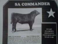 SA%20Angus[1].jpg