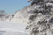 Snow.jpg
