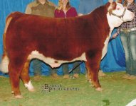 bcjls auction 022.JPG
