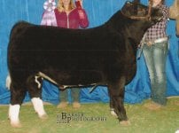 bcjls auction 021.JPG