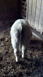 2012-01-20_09-17-45_520.jpg