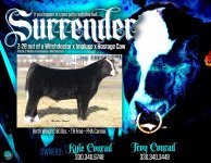 _SurrenderBull_Flyer_ low pix.jpg