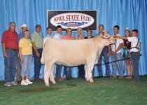 5th 4H Heifer Ch Shorthorn.jpg