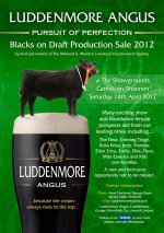 Luddenmore-flyer-Green-low-res[1].jpg