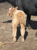 mar2012 021.jpg