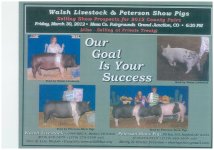 Show pig Sale.jpg