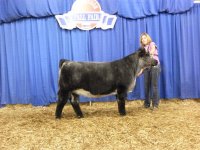 saskatoon fall fair 2011 (bettys pics ) 168.jpg