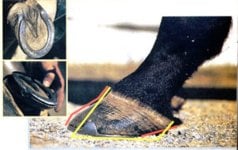 underrun-heels002.jpg