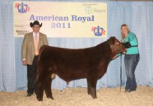 RIGD-Wahoo--Reserve-Grand-Bull-Royal_sm.jpg