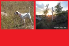 frame for pics_with Abby in Nebraska.jpg