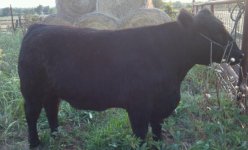 2012-07-23_20-16-56_554-1.jpg