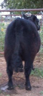 2012-07-23_20-39-40_239-1.jpg