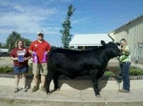 grand champion steer.jpg