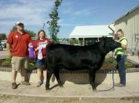 Reserve champion Heifer 2012.jpg