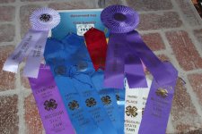 ribbons state fair 2012.jpg
