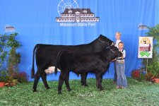 cow pair 2011 state fair small.jpg