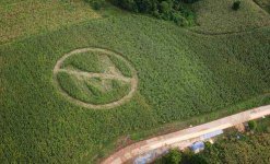 poar03_monsanto0805.jpg
