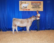 %class12_mcintosh  national show.jpg