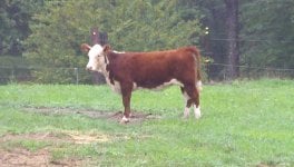 2012-09-03_10-36-47_418.jpg