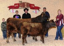 2012NILEgrandchampionfemale-small.jpg