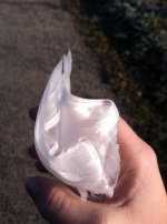 frost flower2.jpg