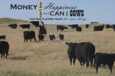 Cows Happiness.jpg