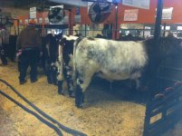 Agribition Horseshoe Creek.JPG