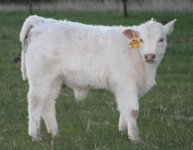 IMG_9399 (1)  SHURFINE-SMALL.jpg