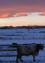 Chinook Arch & 18W.jpg