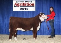 Zara Agribition 2012.jpg