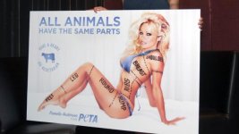 657515-pamela-anderson-peta.jpg