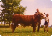 herefordmccauleyforweb.jpg