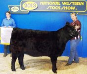 HB Ziffany 1472- Heifer Calf Champ, Res. Junior Champ Female.jpg