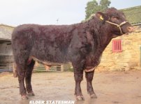 LOT 413 - ELDER STATESMAN OF UPSALL (P) (UK121060-200789).jpg