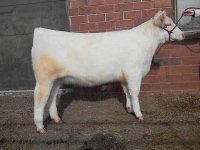 Z20 Rozeboom MS Xray State Sale.jpg