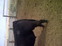 IMG-20130418-00209.jpg
