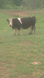 IMG_20130516_164820_189.jpg