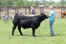 fairgrove Coal 2013.jpg