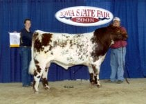 ULURU BUSTER 6T Iowa State Fair.jpg