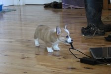 IMG_9112.JPG