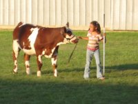 Co. Fair Beef 056.jpg