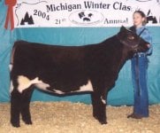 NBS Rodeo Lady 20P.jpg