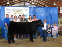 Reserve Williams Steer State Fair.jpg