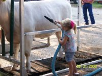 Kendall Co Fair 010.JPG