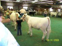 Kendall Co Fair 011.JPG