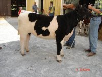 Augusta County Fair 2 Grand Champions.JPG