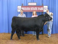 Headline 2008 Indiana State Fair.jpg