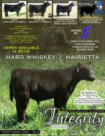 Integrity Ad - July  8, 2013 - Intro Ad.jpg