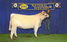 NWSS Backdrop lighter  JEWEL.jpg