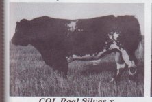 real silver.jpg